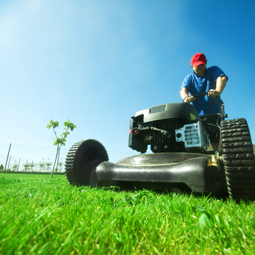 lawn care software